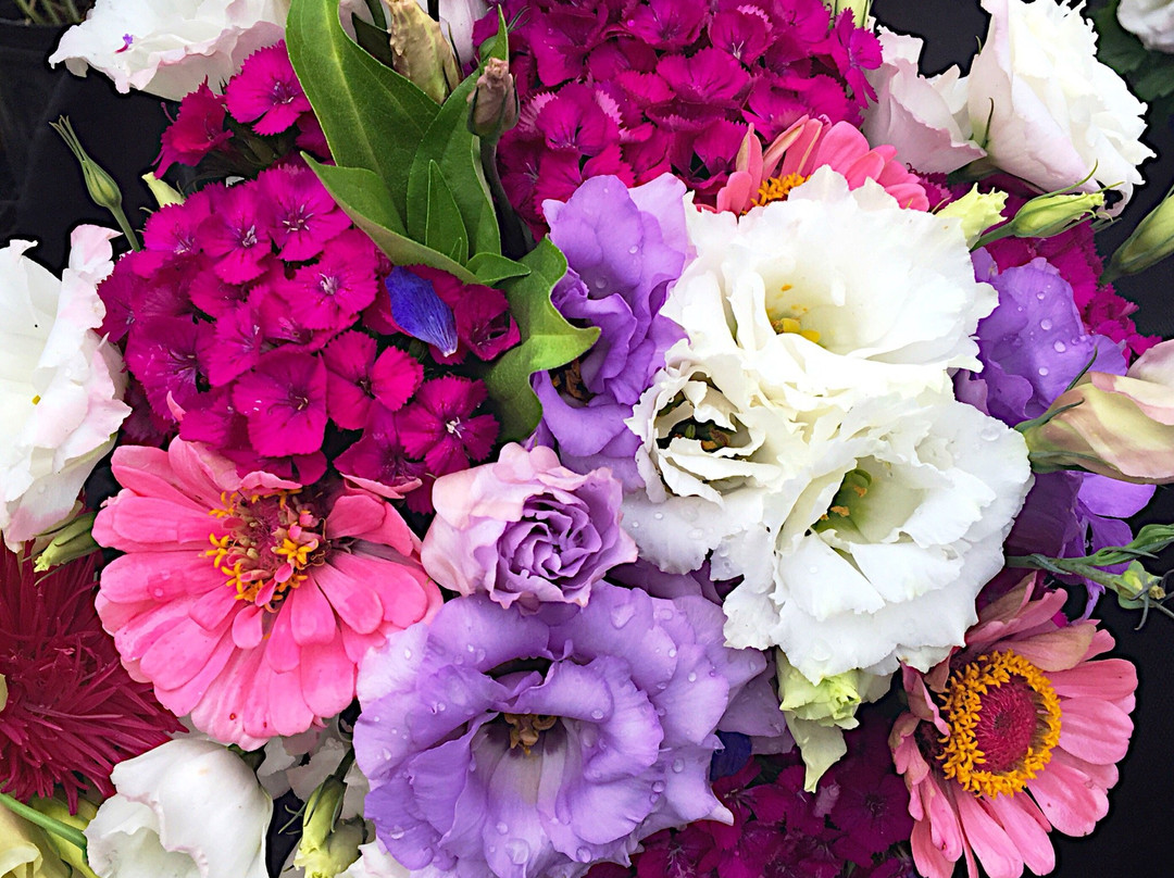 Amherst Farmers' Market - Late April to Mid-November-艾姆赫斯特必去景点