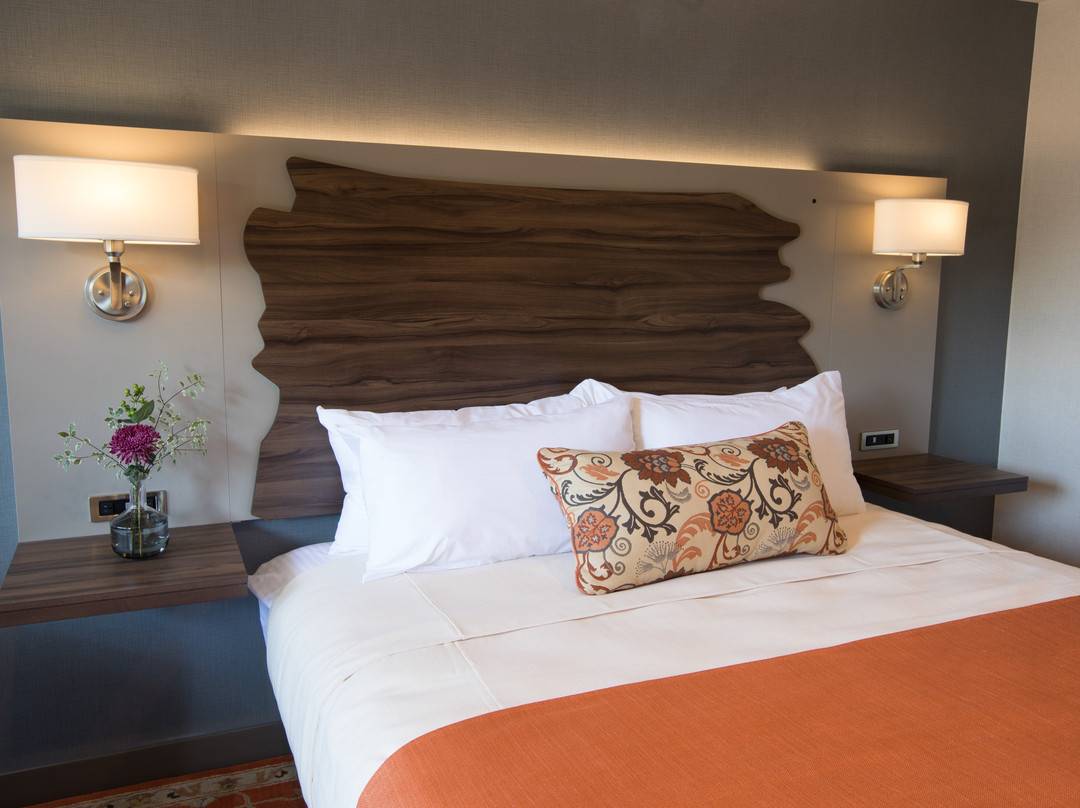 Vine Inn Davis主图