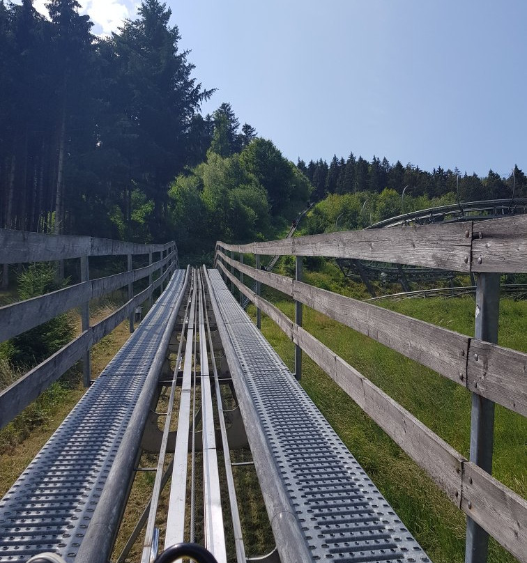 Sommerrodelbahn Gutach景点图片