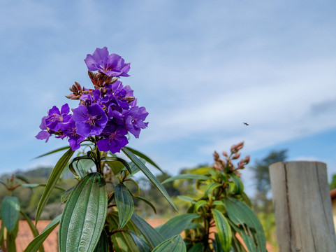 Acampamento Aldeia-Sao Roque必去景点