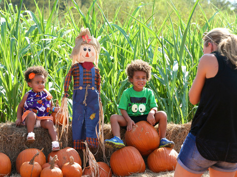 Barton Hill Farms-巴斯特罗普必去景点