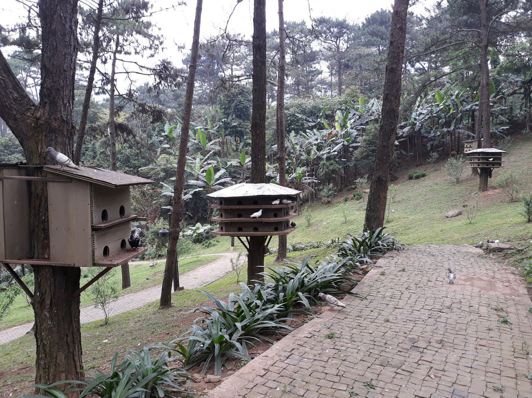Melia Ba Vi Mountain Retreat主图