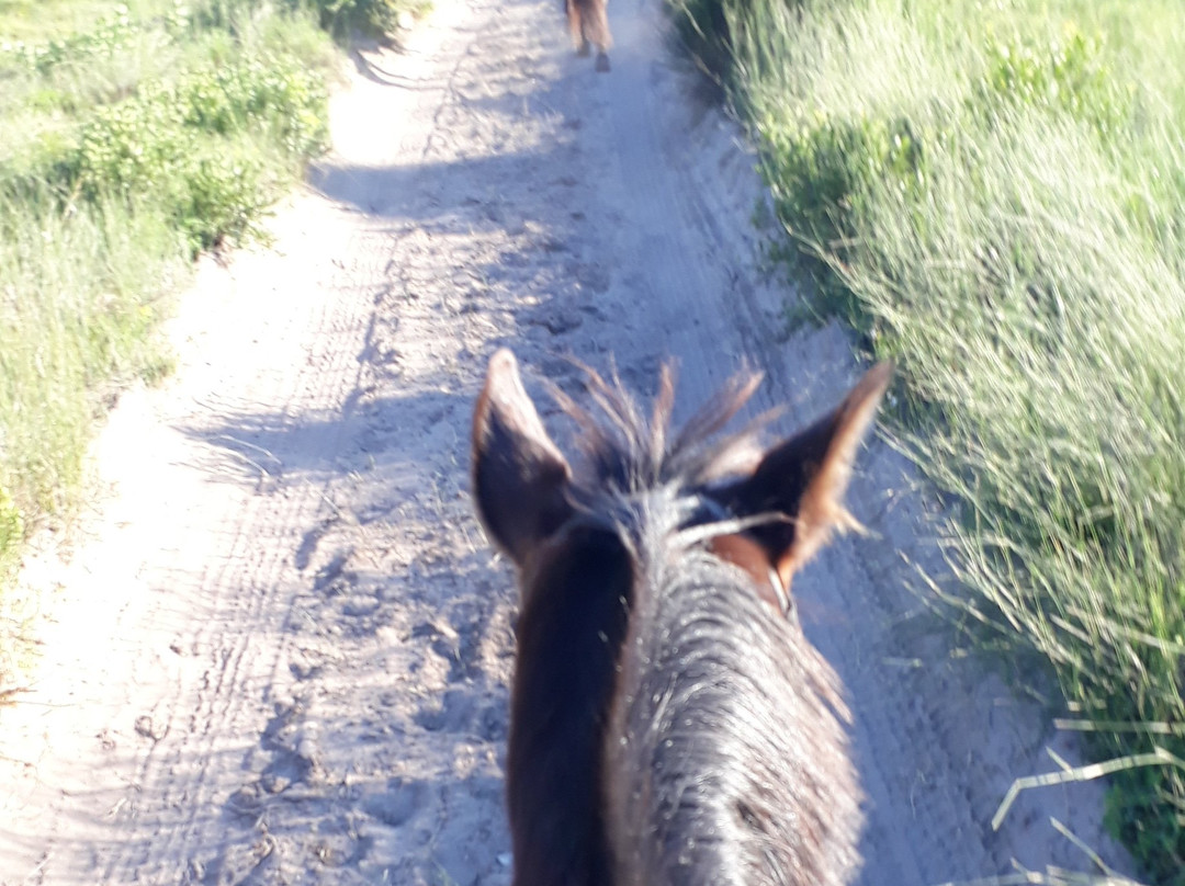 大森林私人自然保护区酒店主图