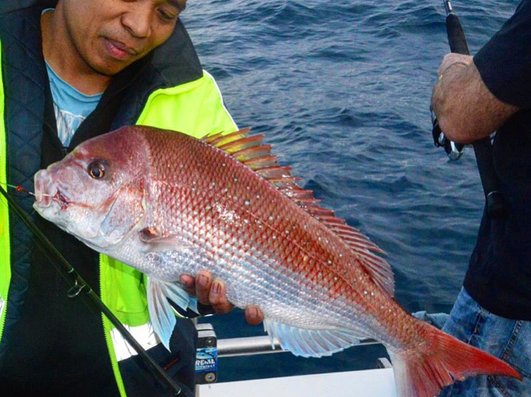 Keen as Fish-Marion Bay必去景点