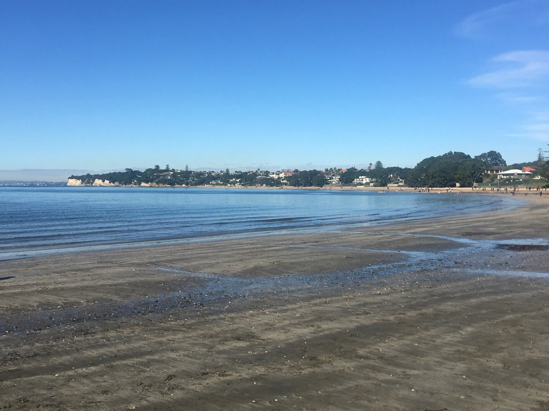 Takapuna Beach Playground景点图片