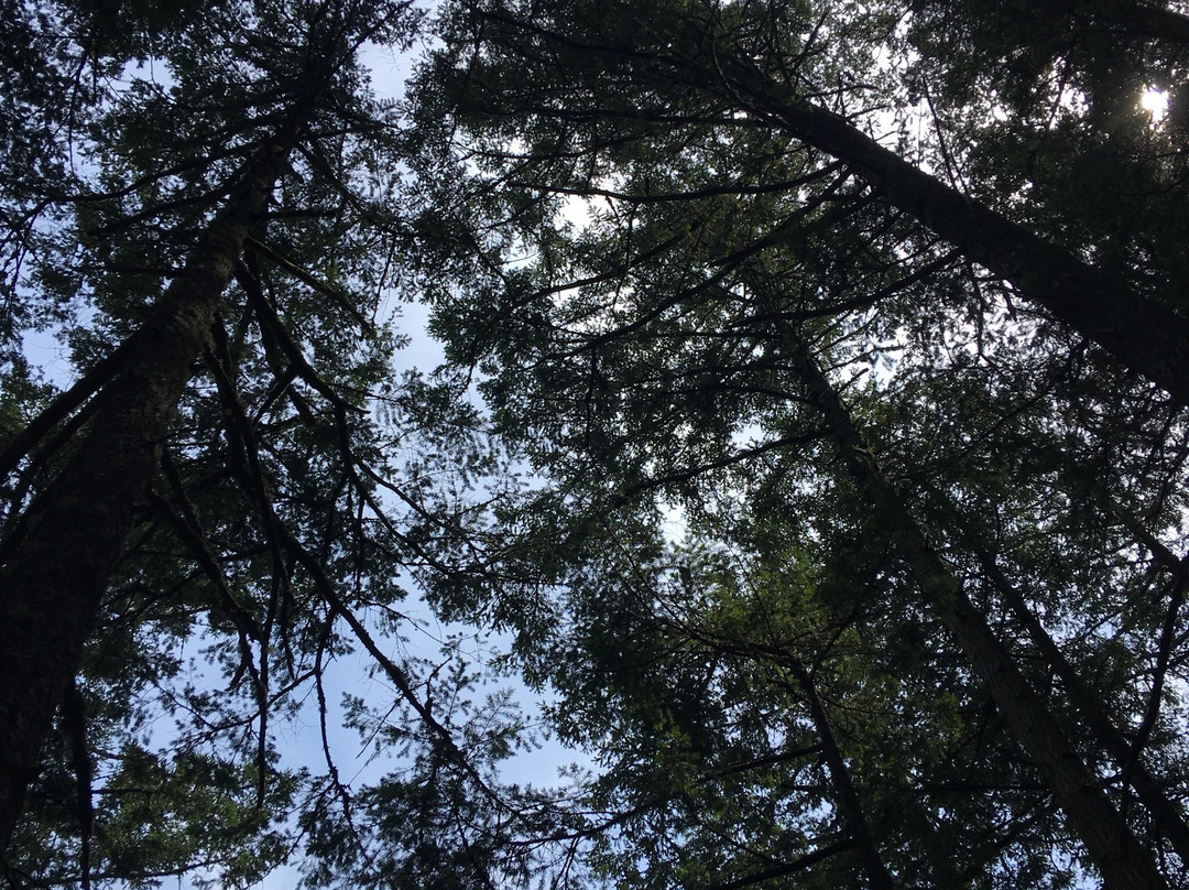 Witty's Lagoon Regional Park景点图片