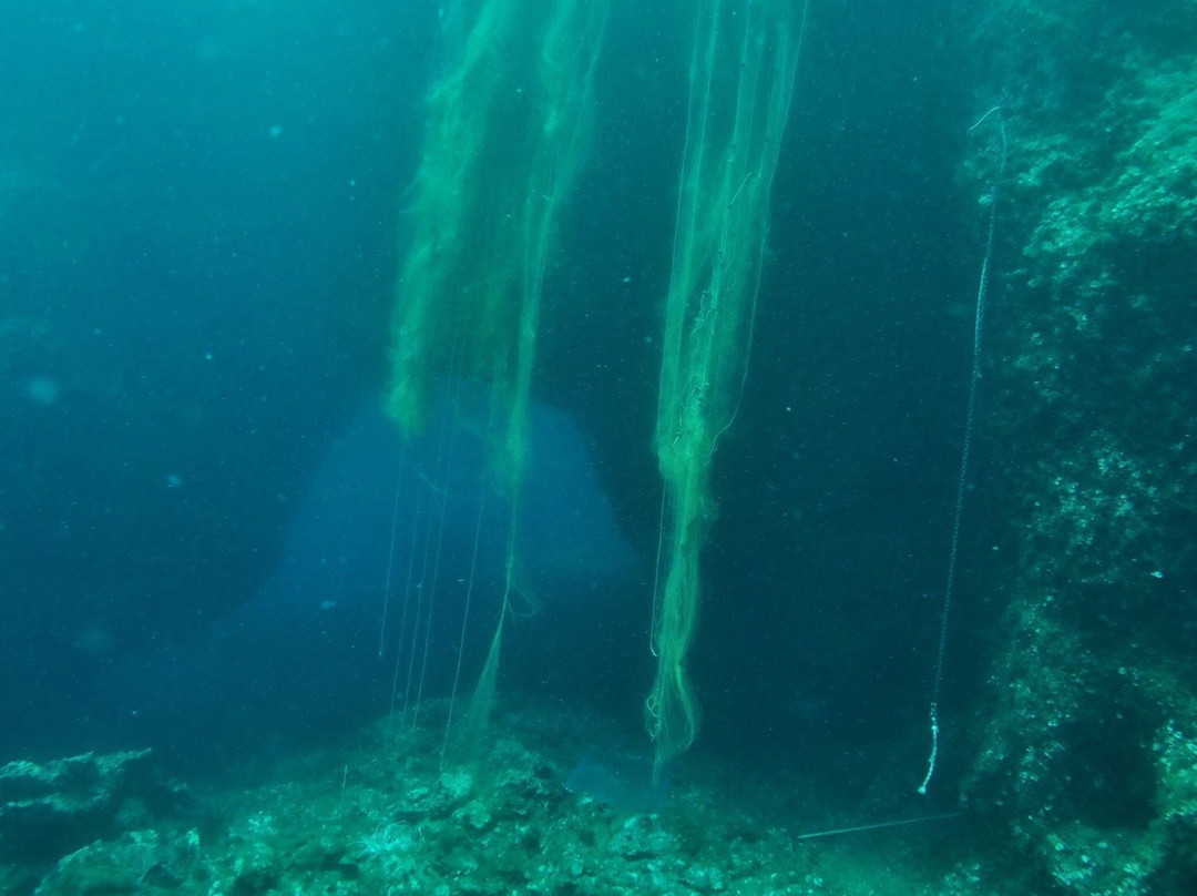 Deep Blue Divers-塞沃塔必去景点