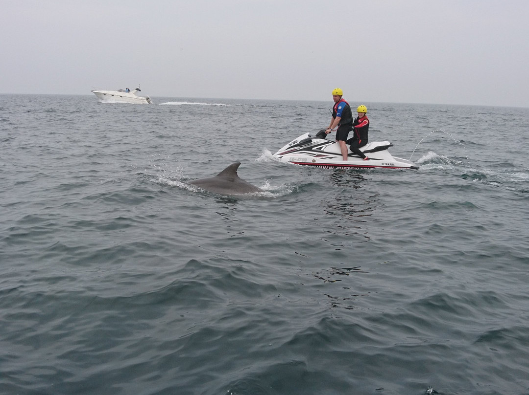 JP's Jetski Seafaris景点图片