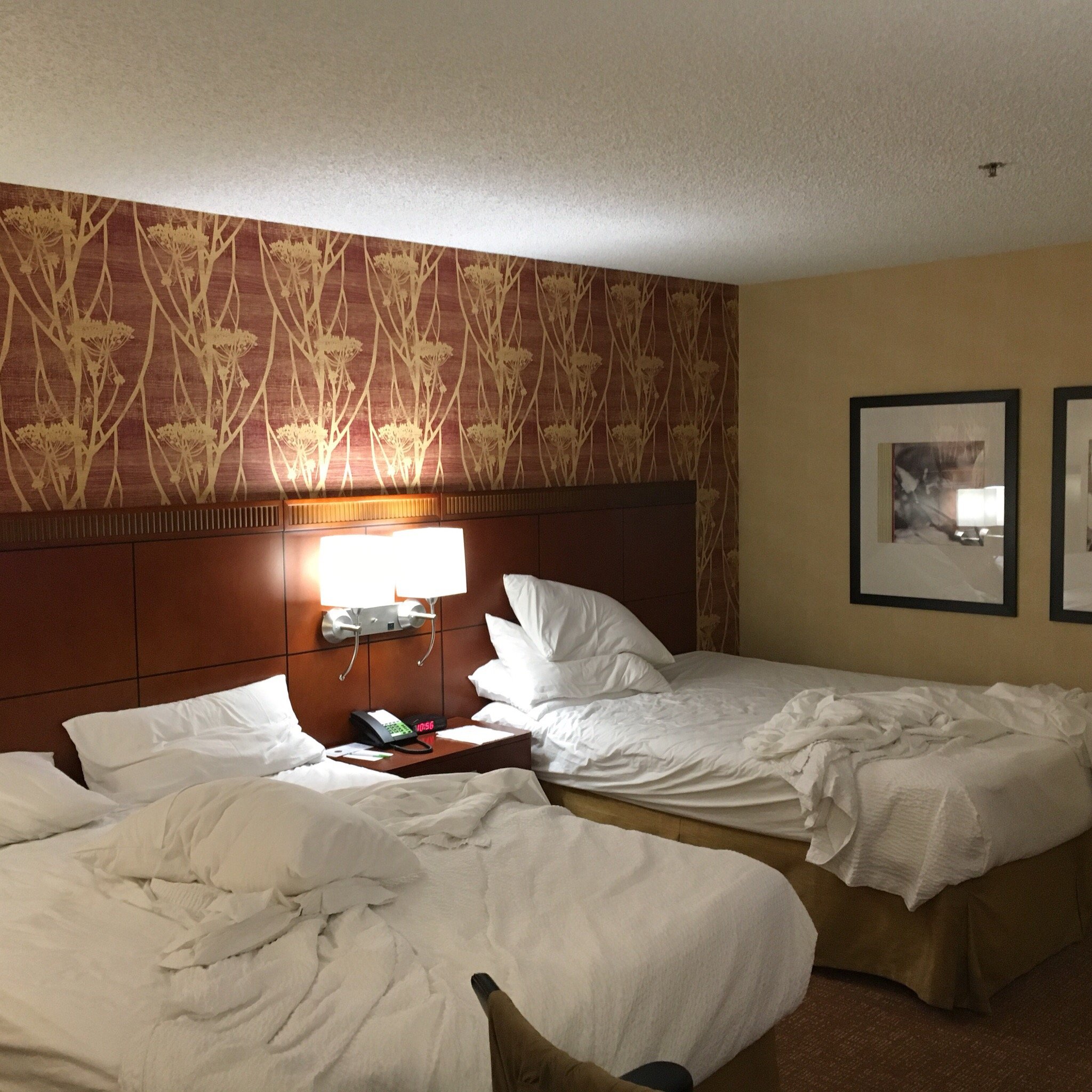 弗里蒙特硅谷万怡酒店-餐饮