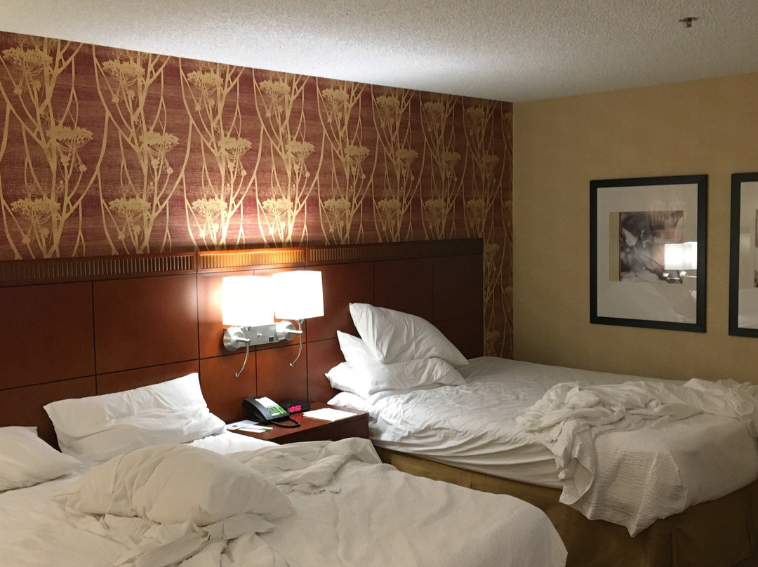 弗里蒙特硅谷万怡酒店主图