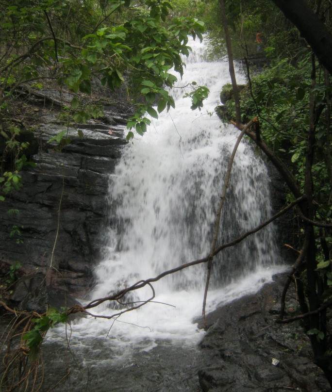 Pattathipara Waterfall景点图片