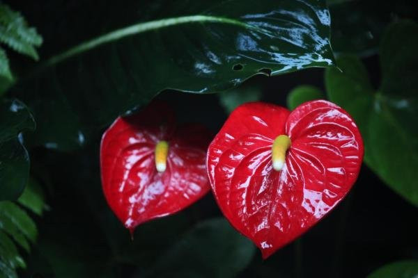 La Casa Del Pozo Azul主图