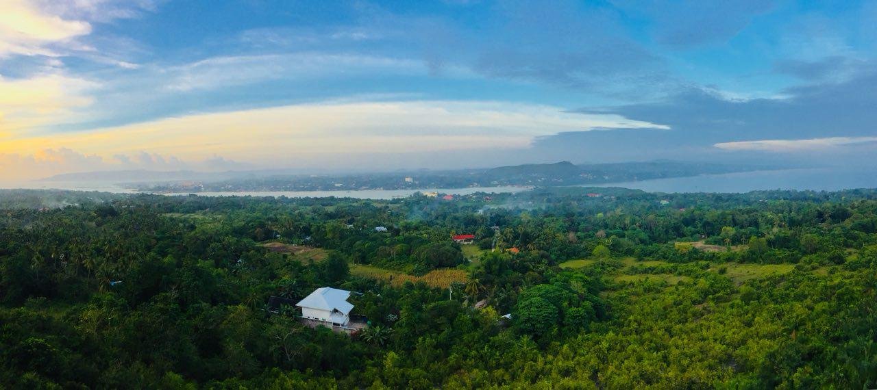 薄荷广场餐厅度假村-酒店景观