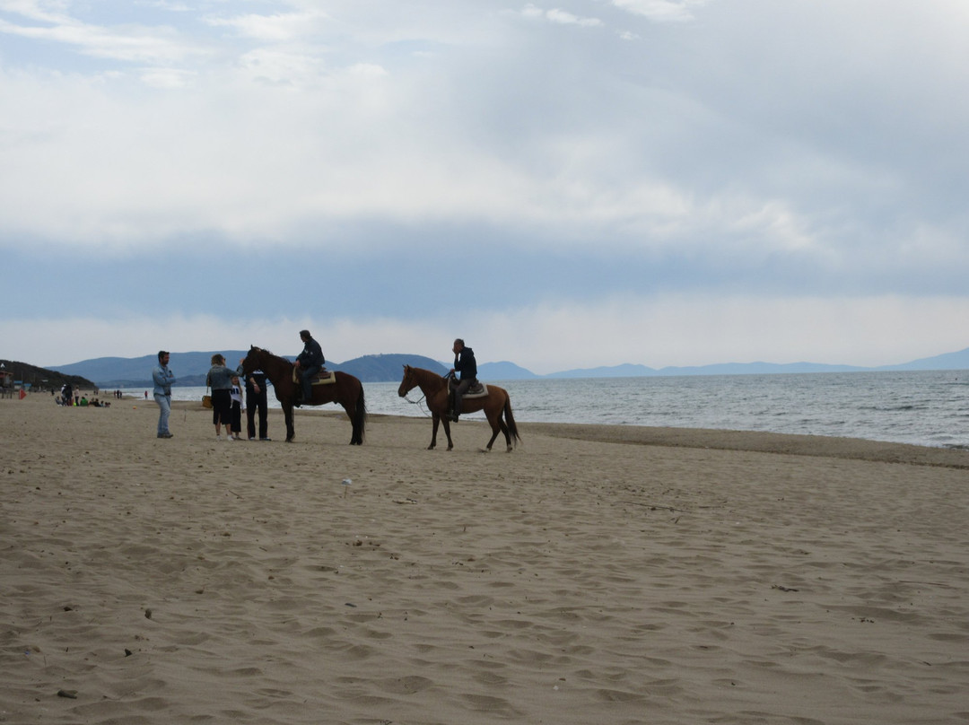 Spiaggia La Principess / Principess Beach景点图片