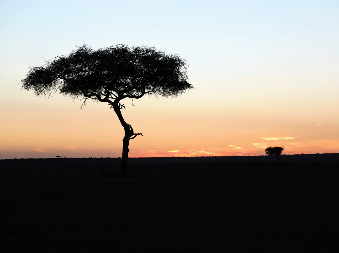 博里尼马拉营地旅馆主图
