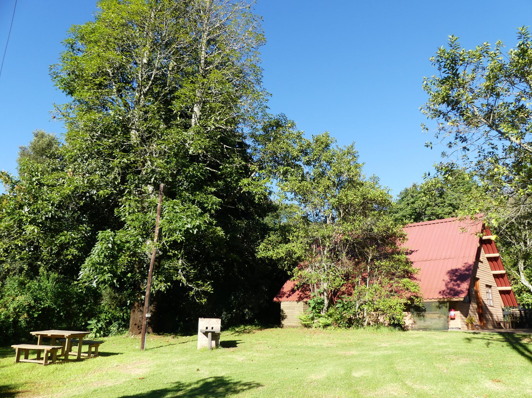 Zur alten Mine主图