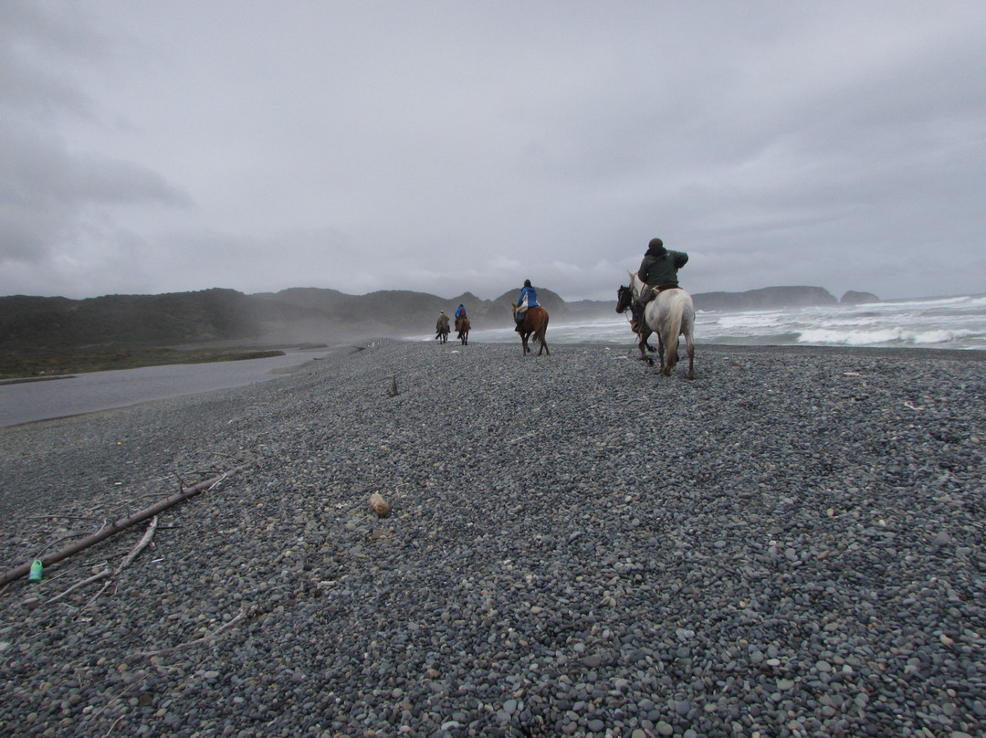 Palafito Trip Tours Chiloe-Cucao必去景点