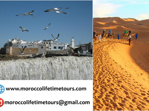 Morocco Lifetime Tours-马拉喀什必去景点
