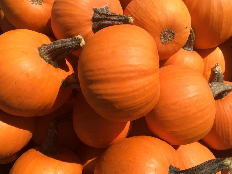 Dixie Orchards-卡利登必去景点