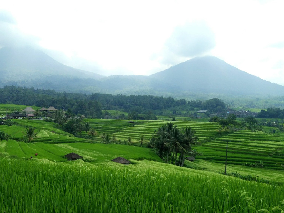 Gede Private Driver - Day Tours-达巴南必去景点