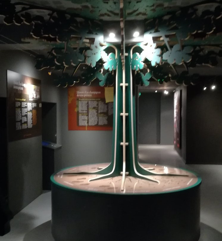 Maison de la Truffe d'Occitanie景点图片