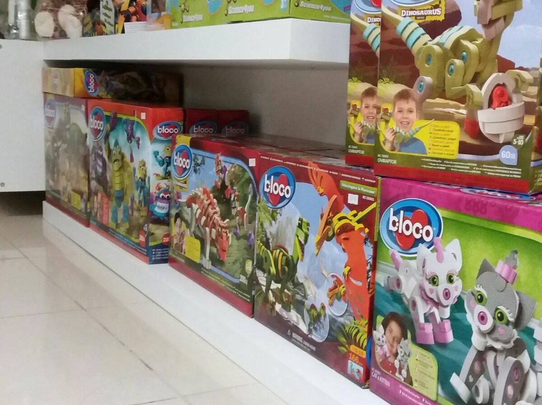 Boa Vista旅游景点-Lis Science