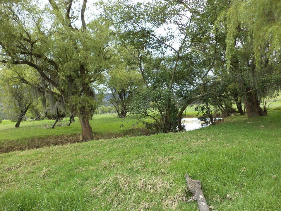 Hotel La Casona de Suanoga主图