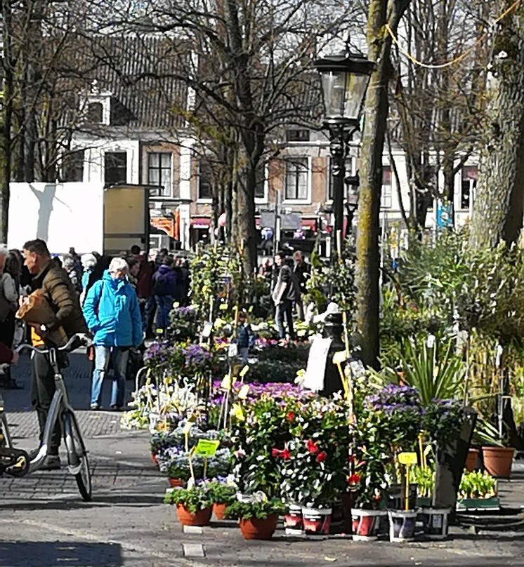 Bloemenmarkt, Janskerkhof, Utrecht景点图片
