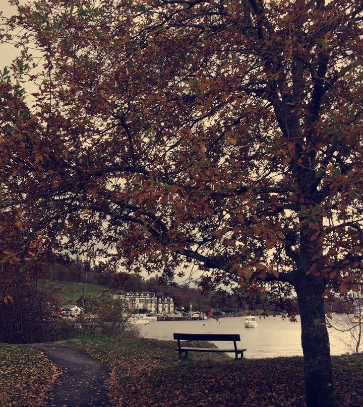 Borrans Park景点图片