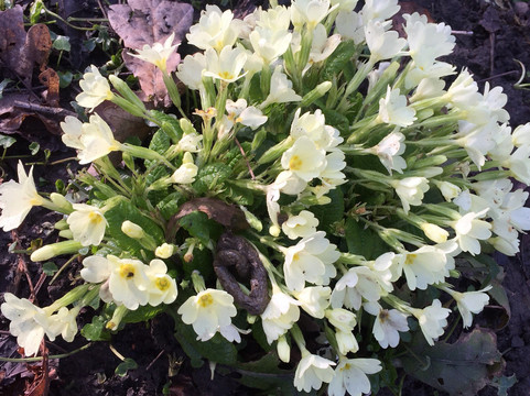 Hurst Grange Park-普雷斯顿必去景点