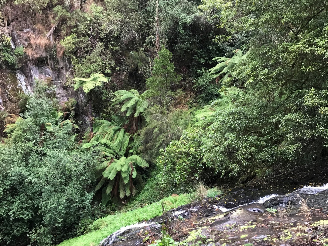 Tarra Falls-Tarra Valley必去景点