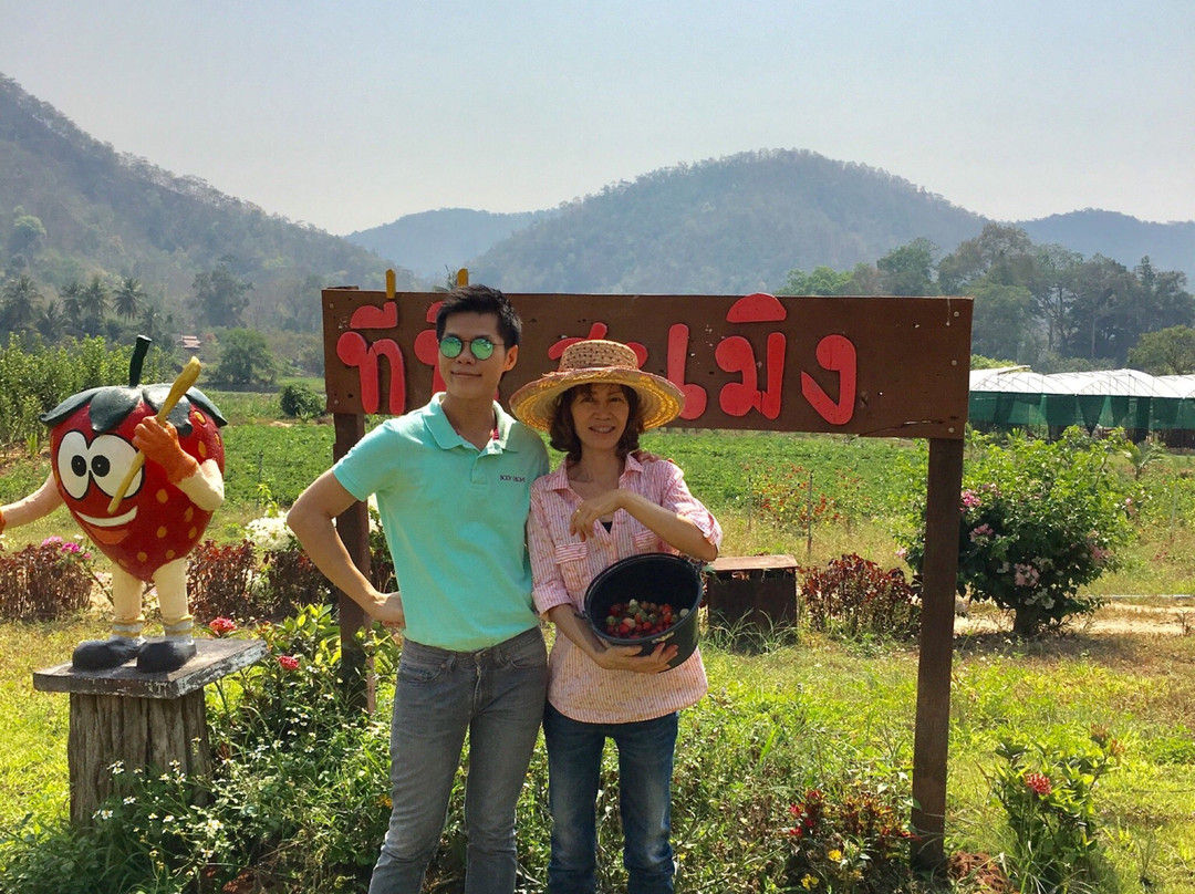 Wongwan Strawberry Farm-沙蒙必去景点