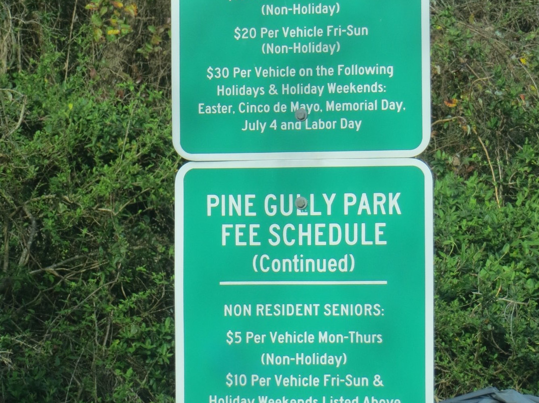 Pine Gully Park景点图片