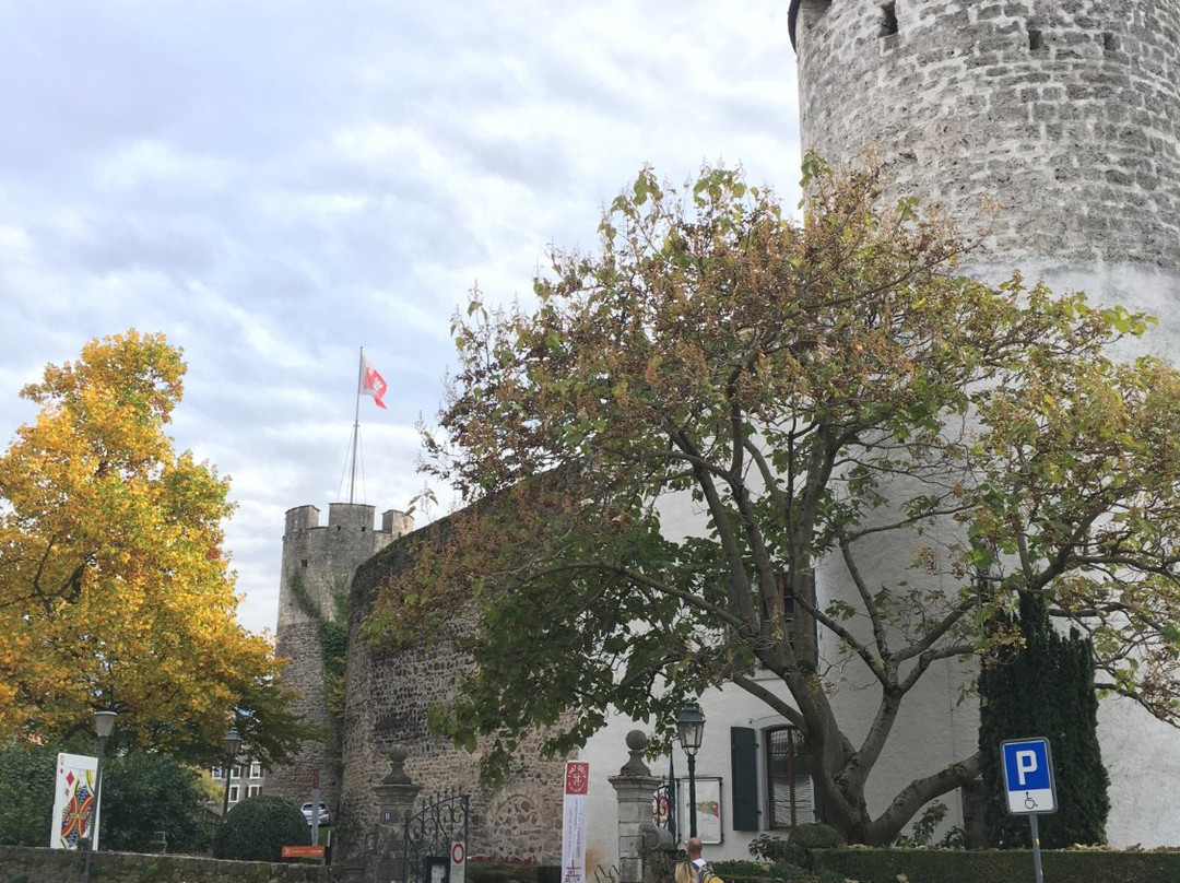 Musée Suisse Du Jeu景点图片