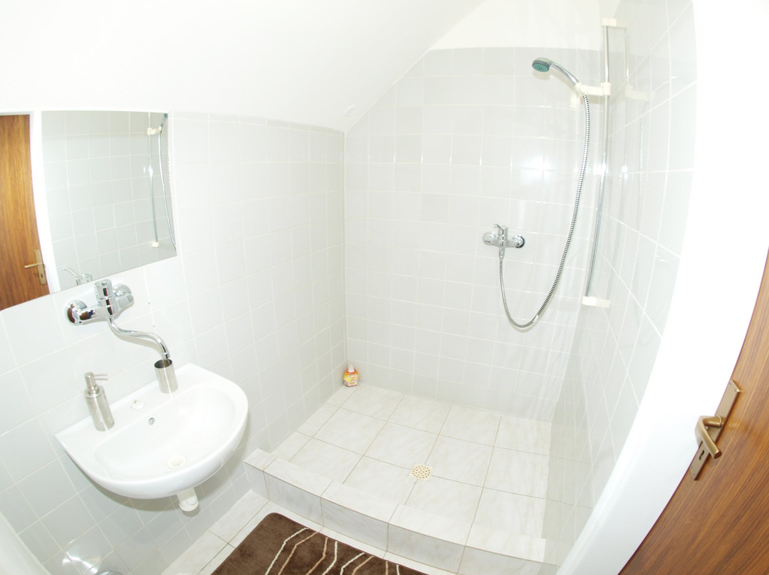 Penzion V Horach主图