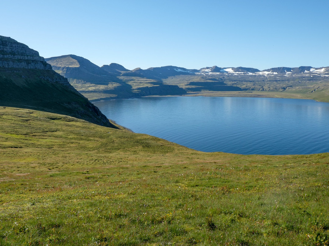 Hornstrandir Nature Reserve景点图片