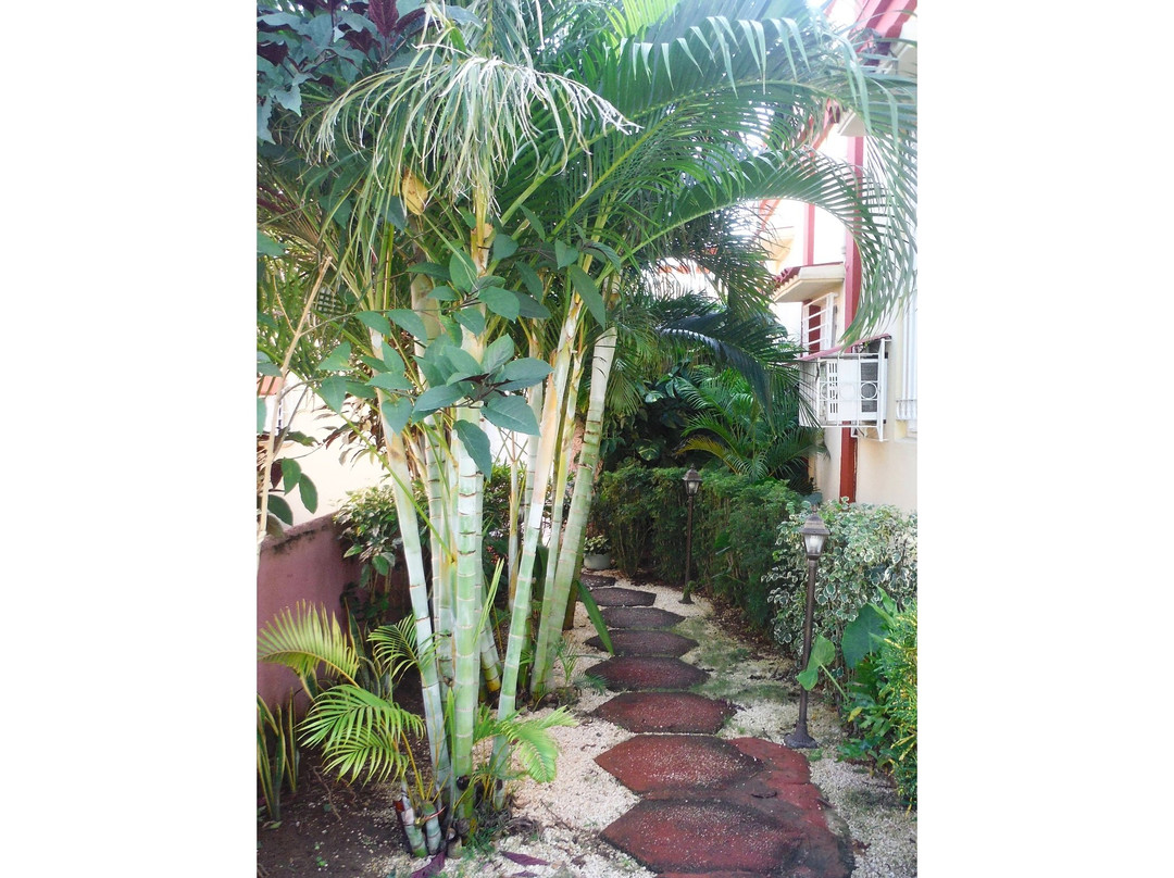 Hostal Pino y Agnia主图