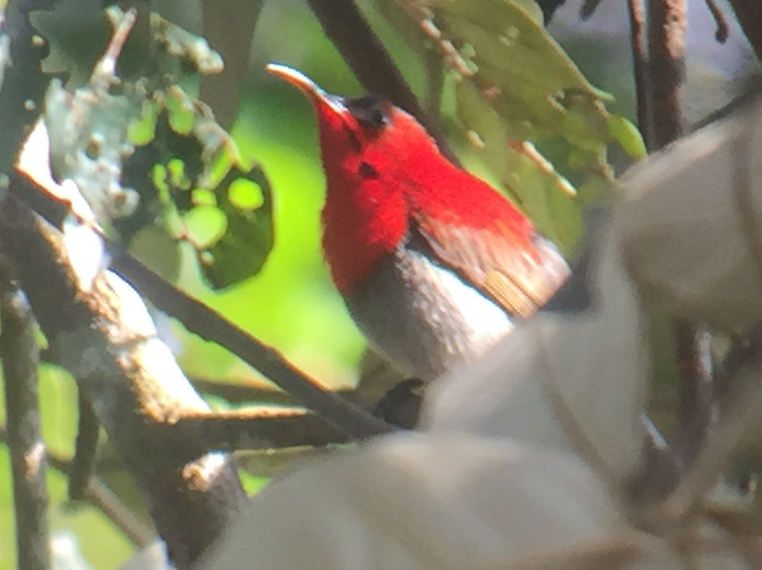 Seima Protection Forest-森莫诺隆必去景点