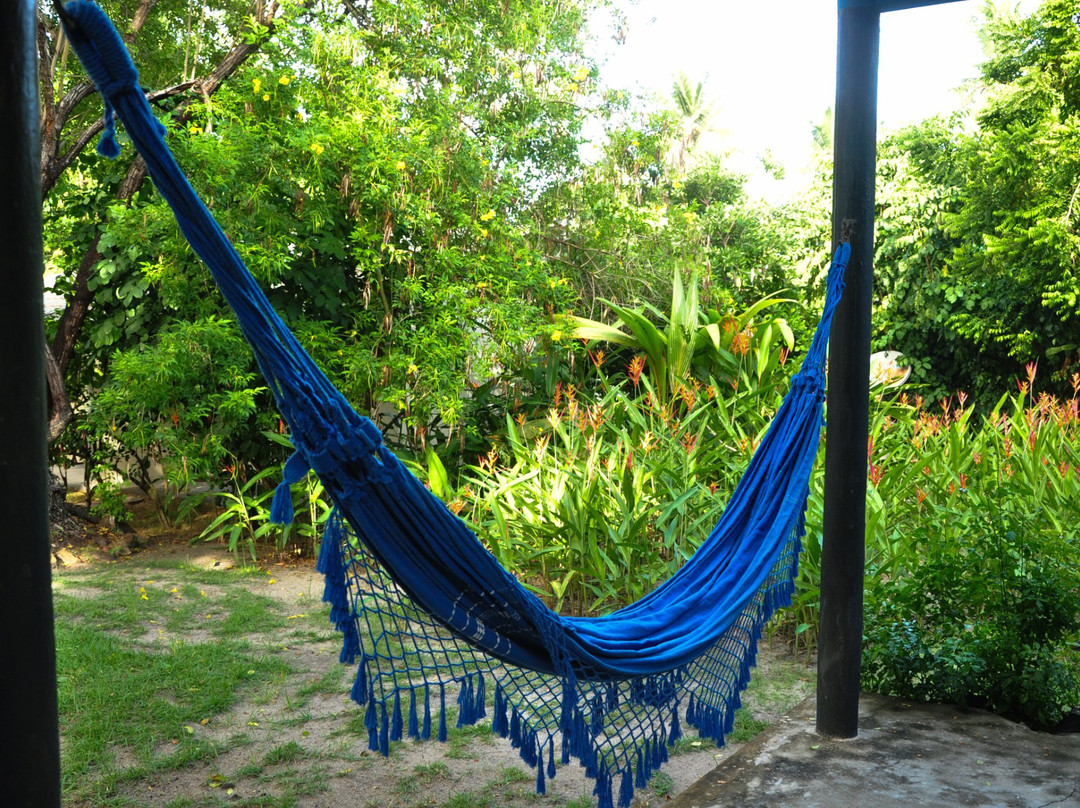 Pousada Cabanas Cajiba主图