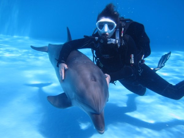 Dolphinarium Nemo-Dzhubga必去景点