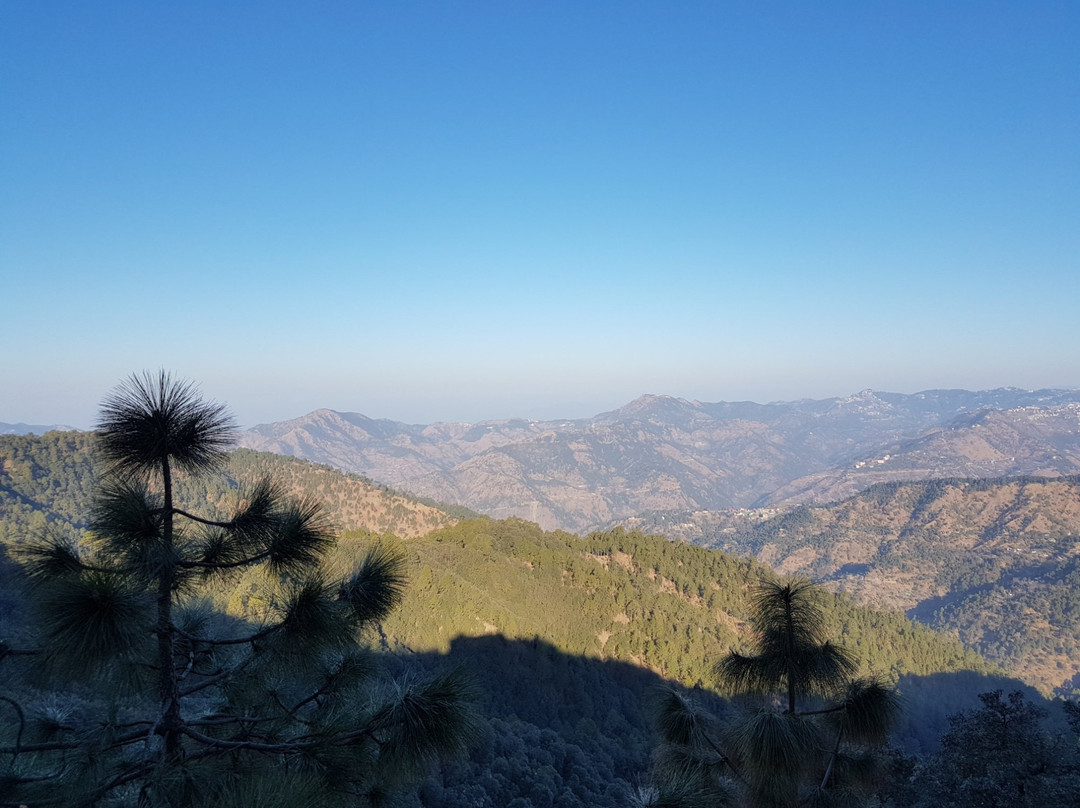 Timber Trail Hotels & Resorts主图