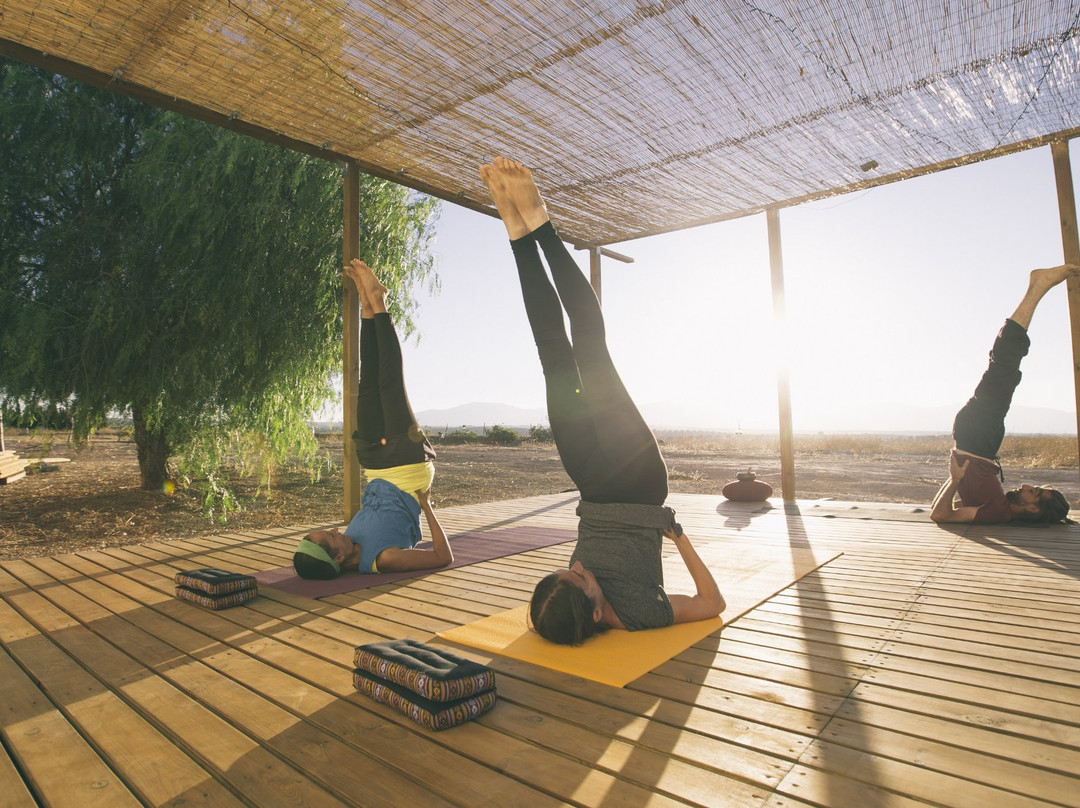 B&B Yoga Center Casa Bhakti