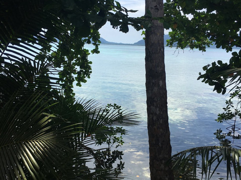 Uepi Island Resort主图