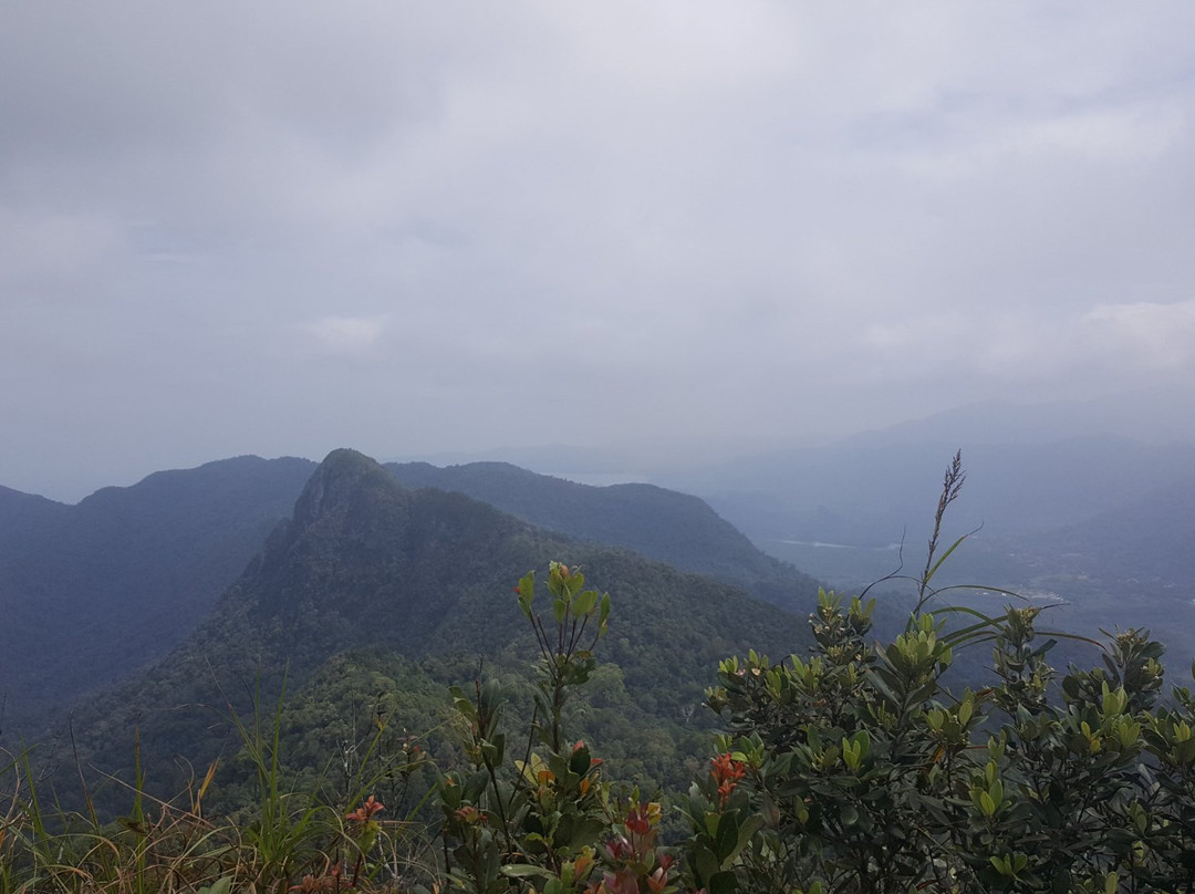 马西冈山景点图片