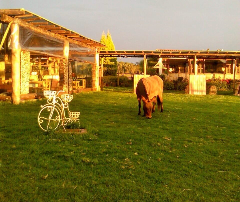 La Chorrera餐馆和美食-Al Galope Restaurante Campestre