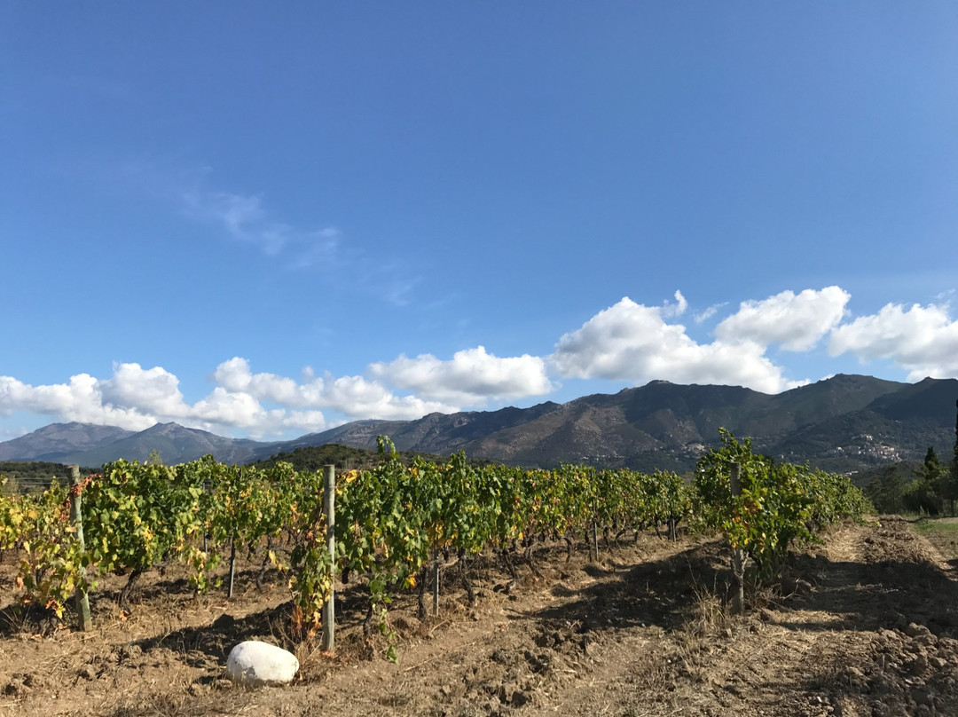 Domaine Santamaria景点图片