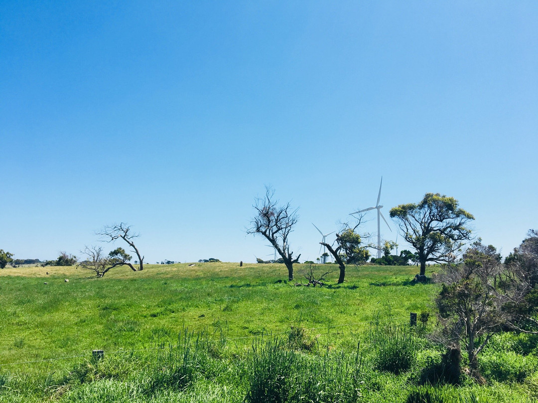 Bald Hills Creek Wildlife Reserve