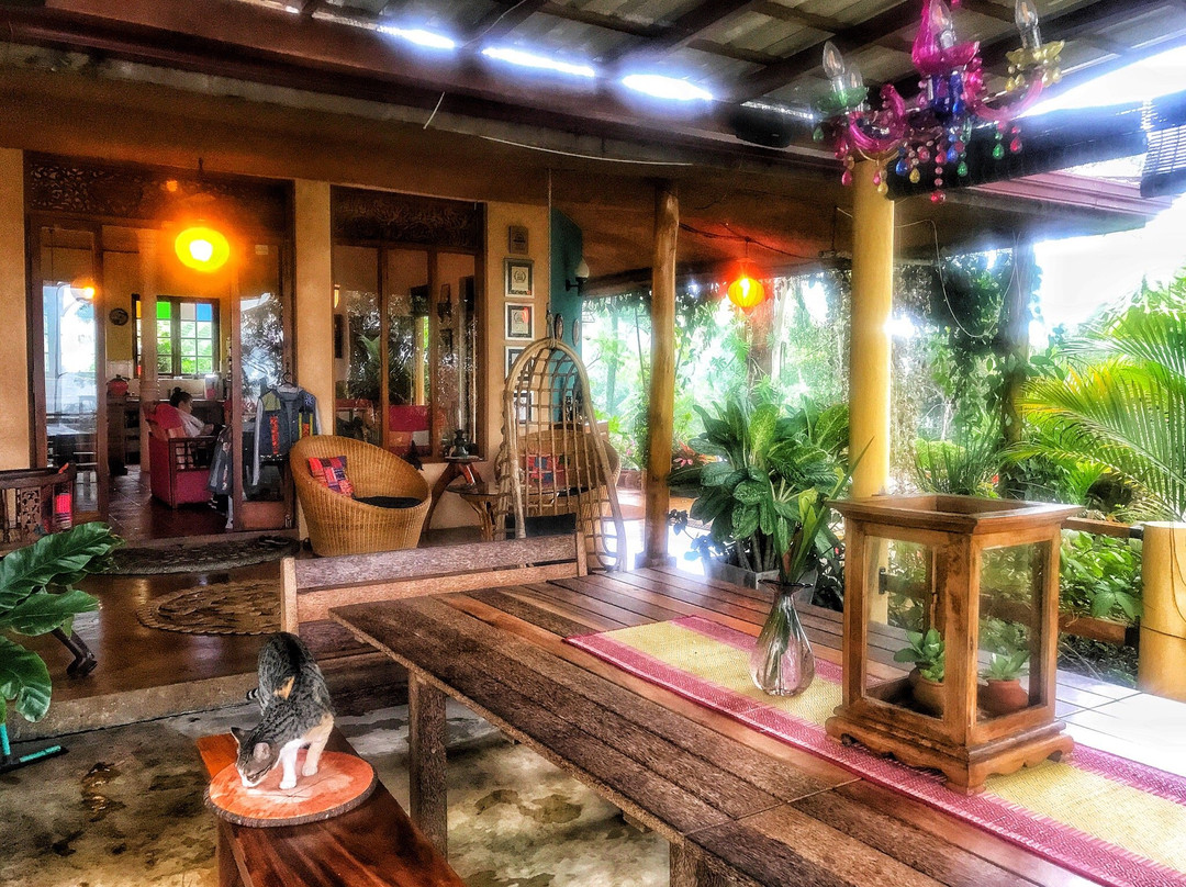 Waterfalls Homestay