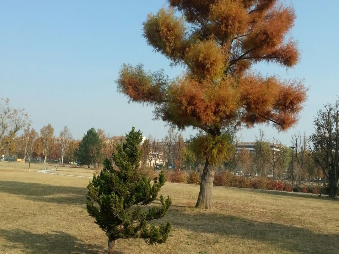 Parco Porporati-Grugliasco必去景点