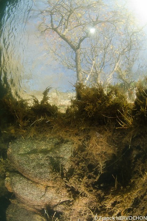 Maïtaï Bécon Plongée景点图片